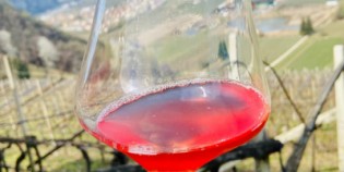 I vini del futuro